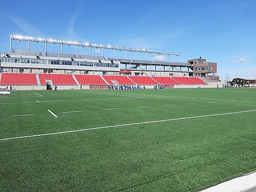 York Lions Stadium stadium